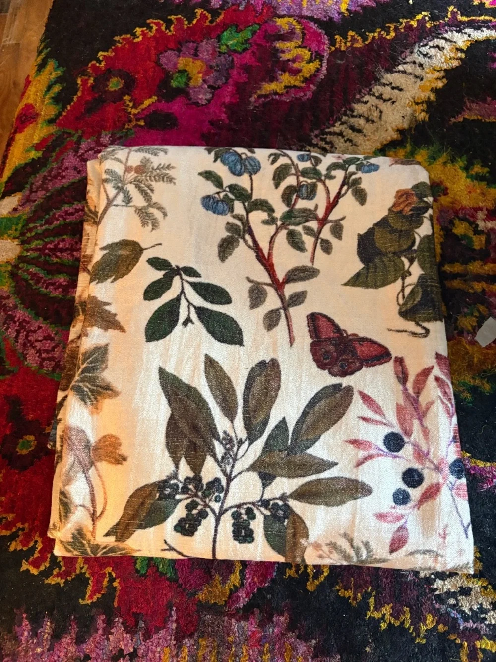 Anthropologie Lorena Printed Velvet Curtain Single